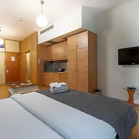 Mayer Loft 3*