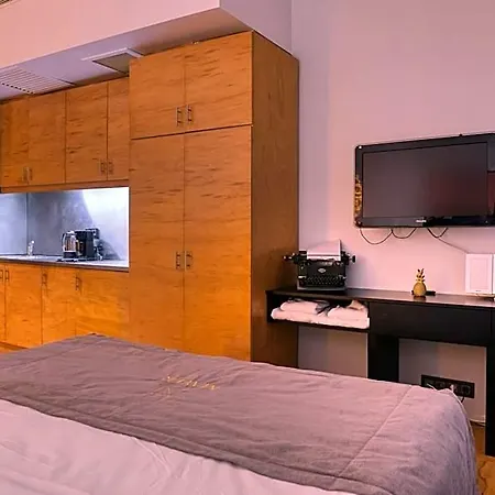 Mayer Loft 3*