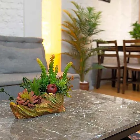 Mayer Loft 3*