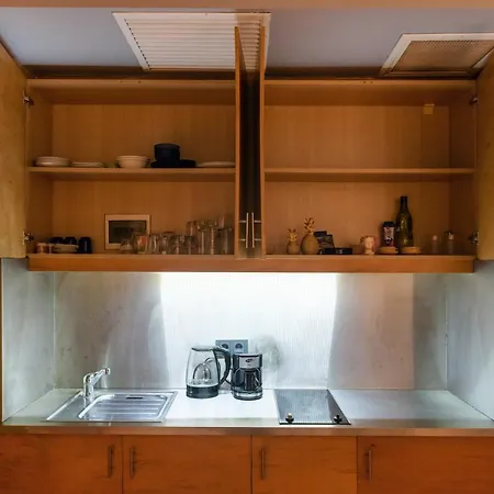 מלון דירות Mayer Loft